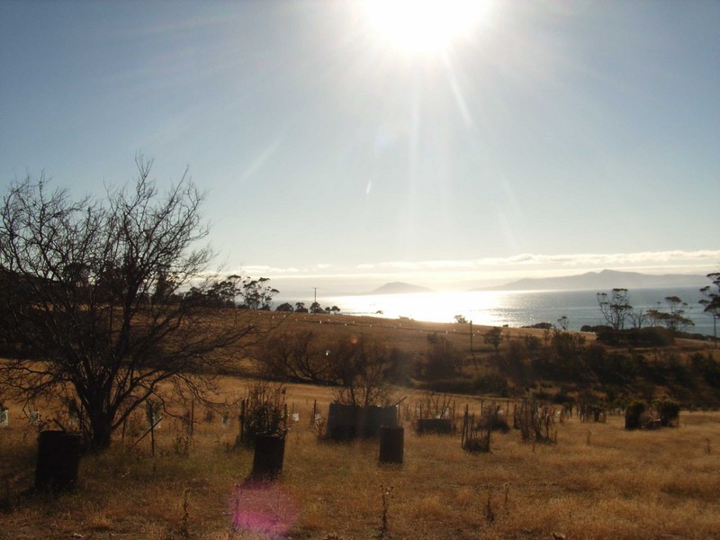 RA 11903 Tasman Highway, Swansea TAS 7190