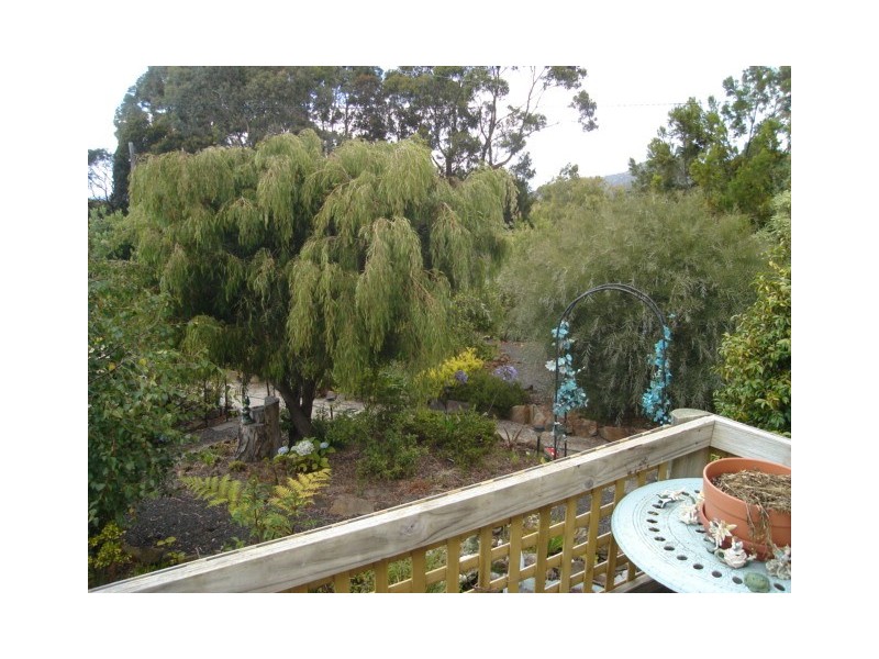 6 Burgess Street, Bicheno TAS 7215