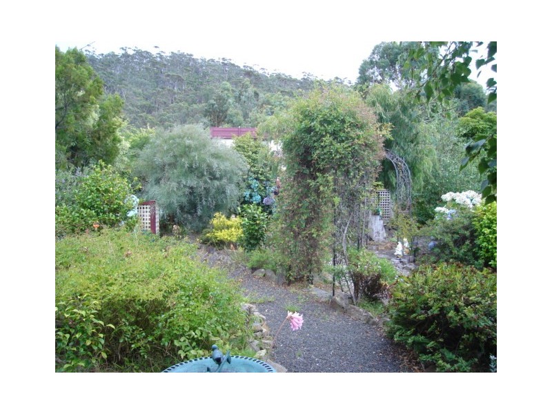 6 Burgess Street, Bicheno TAS 7215