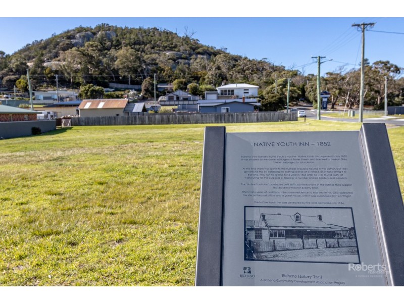 67 Burgess Street, Bicheno TAS 7215