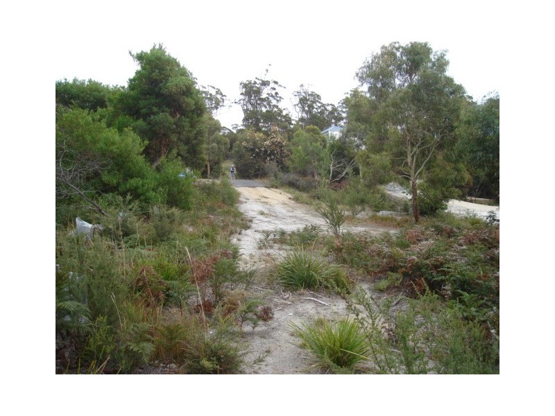 20 Bradley Drive, Coles Bay TAS 7215