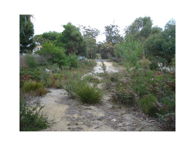 20 Bradley Drive, Coles Bay TAS 7215