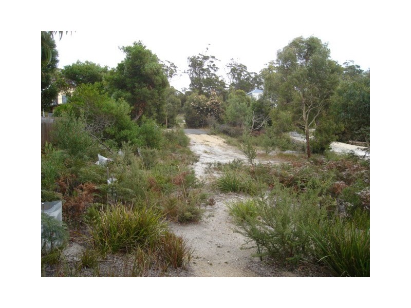 20 Bradley Drive, Coles Bay TAS 7215