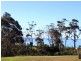 36 Davis Gully Road, Four Mile Creek TAS 7215
