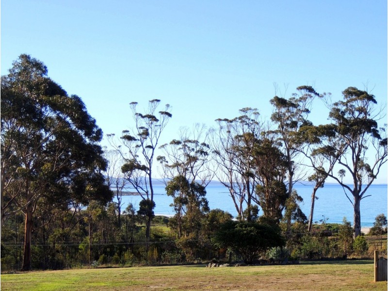 36 Davis Gully Road, Four Mile Creek TAS 7215