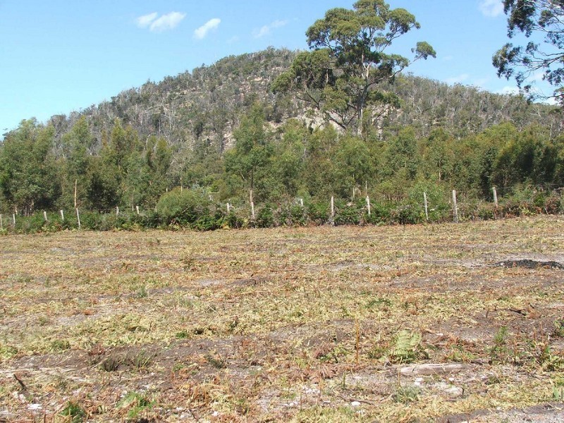 116 Harvey’s Farm Road, Bicheno TAS 7215