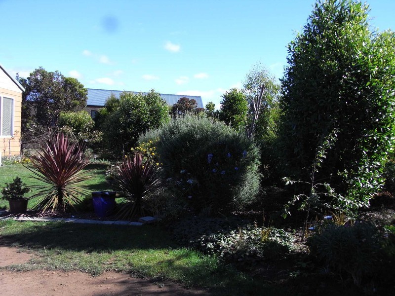 21 Cooks Court, Swansea TAS 7190