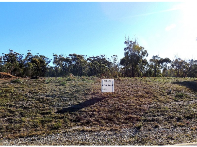 23 Oberon Place, Scamander TAS 7215