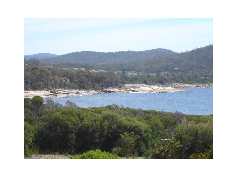 309 Harvey’s Farm Road, Bicheno TAS 7215