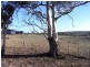 Lot 11 Tarleton Street, Swansea TAS 7190