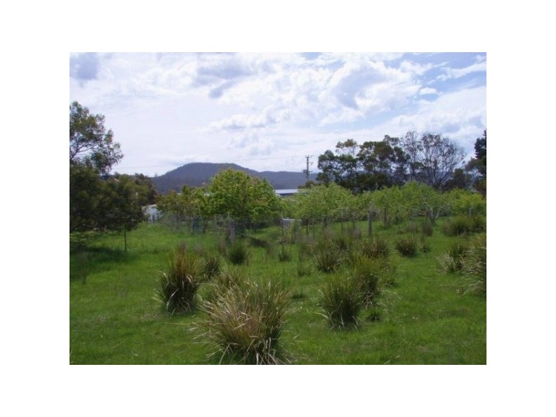 16404 Tasman Highway, Bicheno TAS 7215