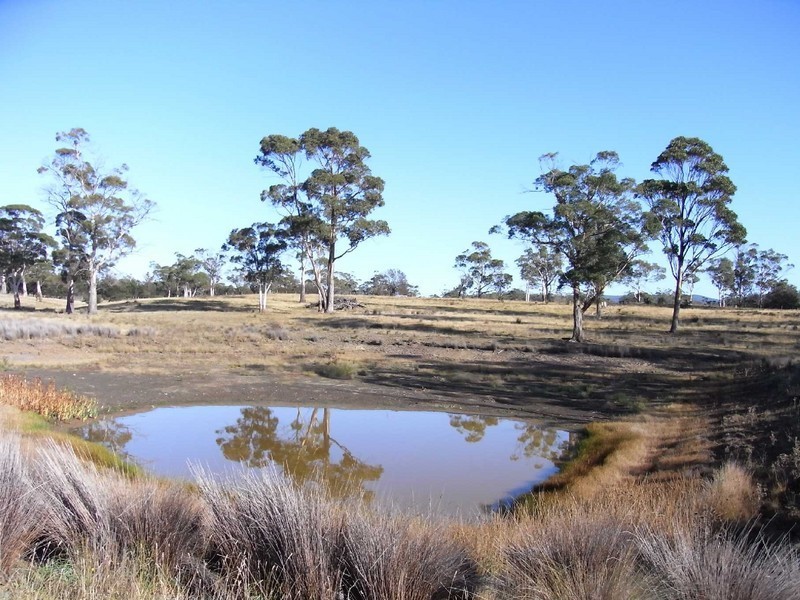 RA10720 Tasman Highway, Little Swanport TAS 7190