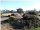 RA10720 Tasman Highway, Little Swanport TAS 7190