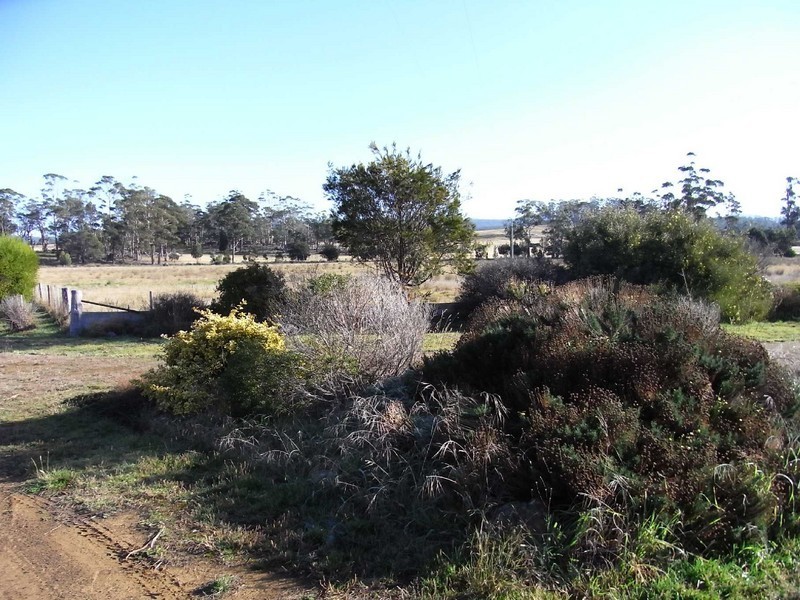RA10720 Tasman Highway, Little Swanport TAS 7190