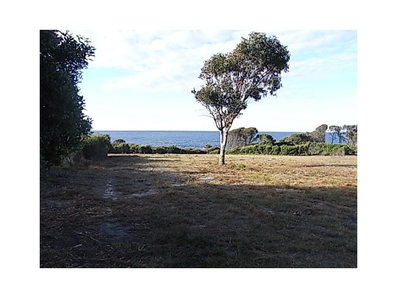 205 Harvey’s Farm Road, Bicheno TAS 7215