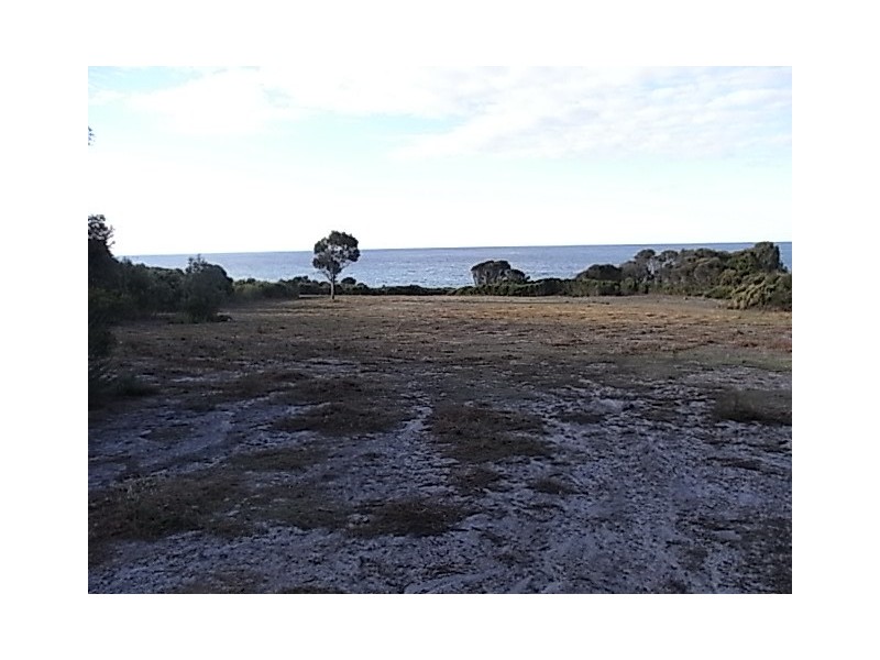 205 Harvey’s Farm Road, Bicheno TAS 7215
