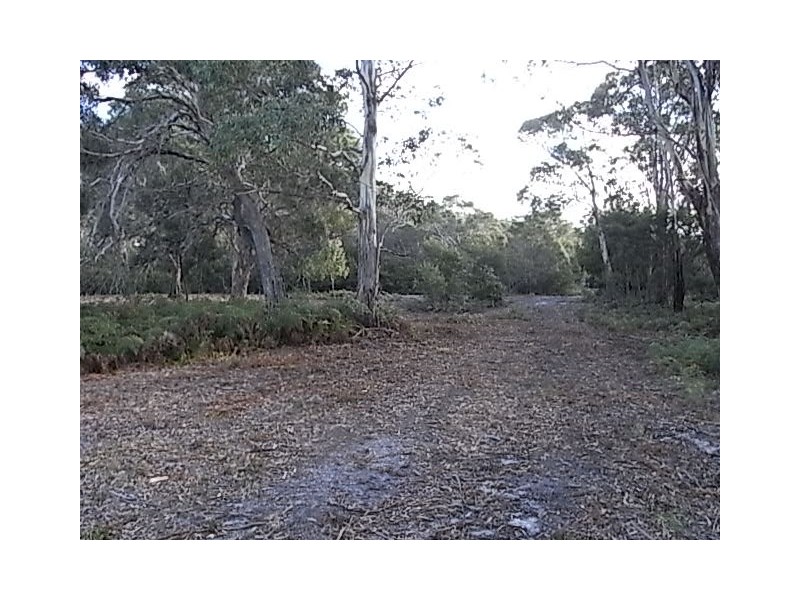 205 Harvey’s Farm Road, Bicheno TAS 7215