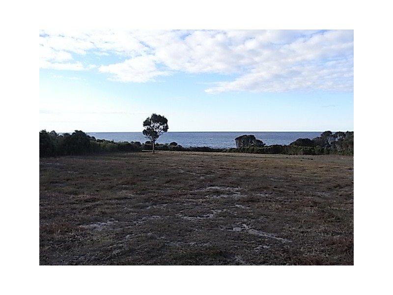205 Harvey’s Farm Road, Bicheno TAS 7215