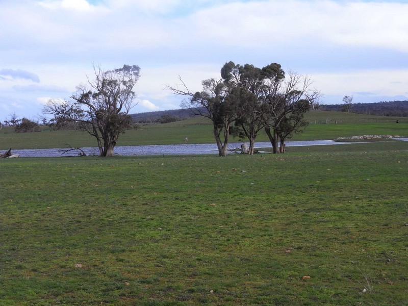 P168 Lake Leake Highway, Swansea TAS 7190