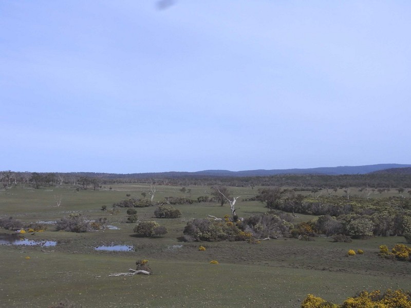 P168 Lake Leake Highway, Swansea TAS 7190