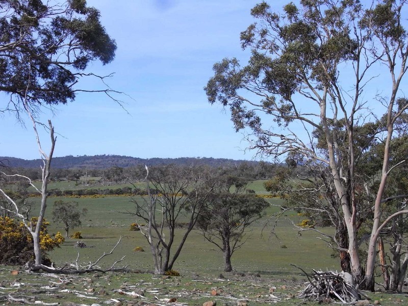 P168 Lake Leake Highway, Swansea TAS 7190