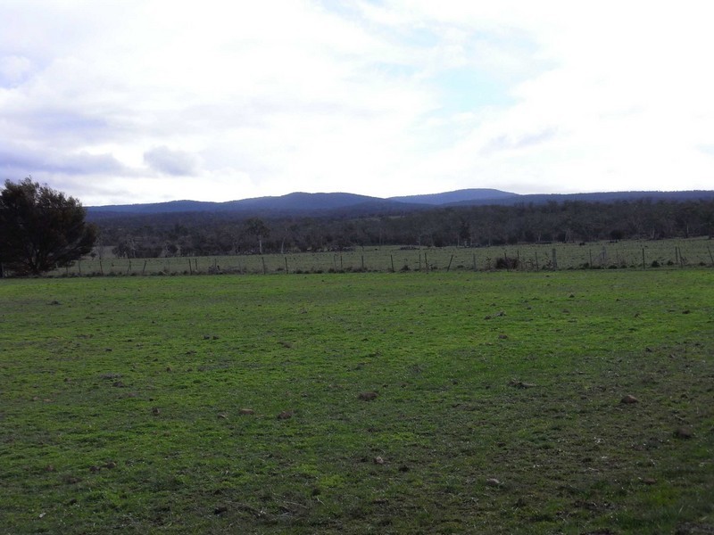 P168 Lake Leake Highway, Swansea TAS 7190