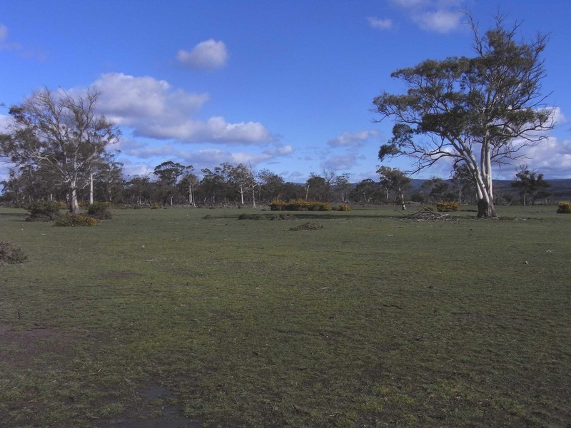 P168 Lake Leake Highway, Swansea TAS 7190