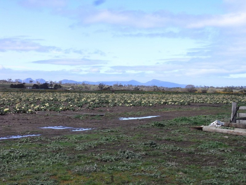 14232 Tasman Highway, Swansea TAS 7190