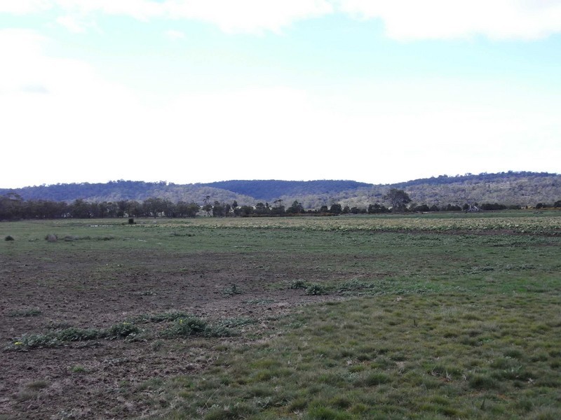 14232 Tasman Highway, Swansea TAS 7190