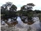 276 Harvey’s Farm Road, Bicheno TAS 7215