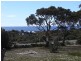 276 Harvey’s Farm Road, Bicheno TAS 7215