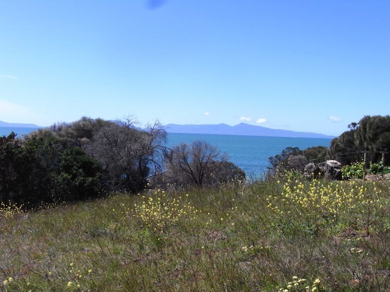 20 Pyke Court, Swansea TAS 7190