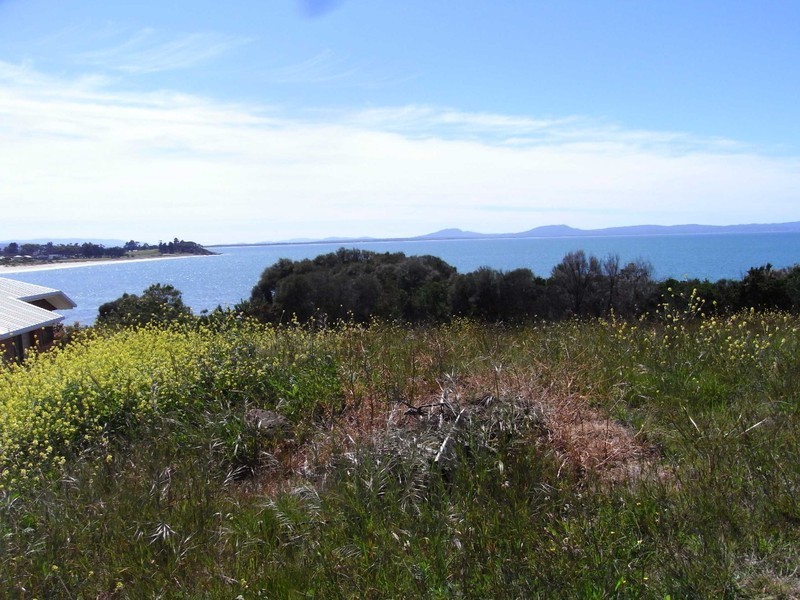 20 Pyke Court, Swansea TAS 7190