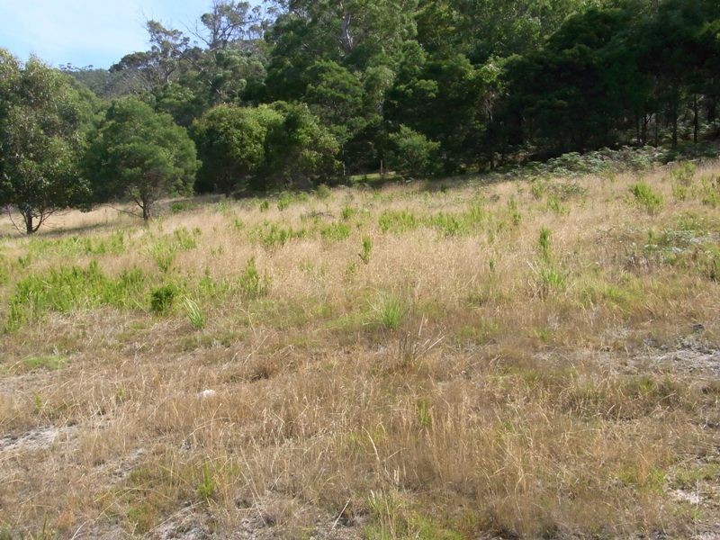 10 Diamond Waters Rise, Bicheno TAS 7215