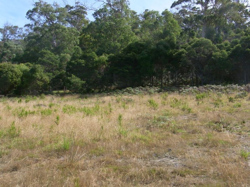 10 Diamond Waters Rise, Bicheno TAS 7215