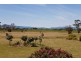 67 Old Spring Bay Road, Swansea TAS 7190