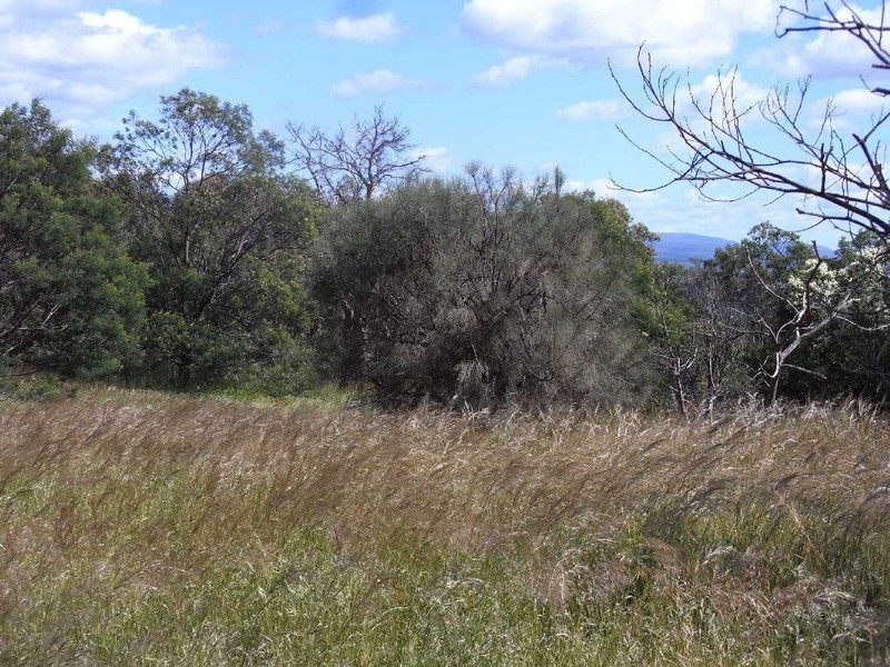 Lot 1 Burgess Street, Swansea TAS 7190