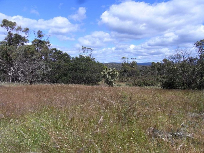 Lot 1 Burgess Street, Swansea TAS 7190