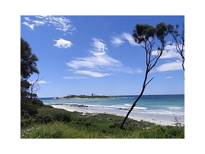43 Tasman Highway, Bicheno TAS 7215