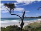 43 Tasman Highway, Bicheno TAS 7215