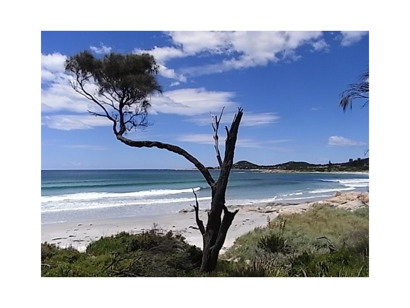 43 Tasman Highway, Bicheno TAS 7215