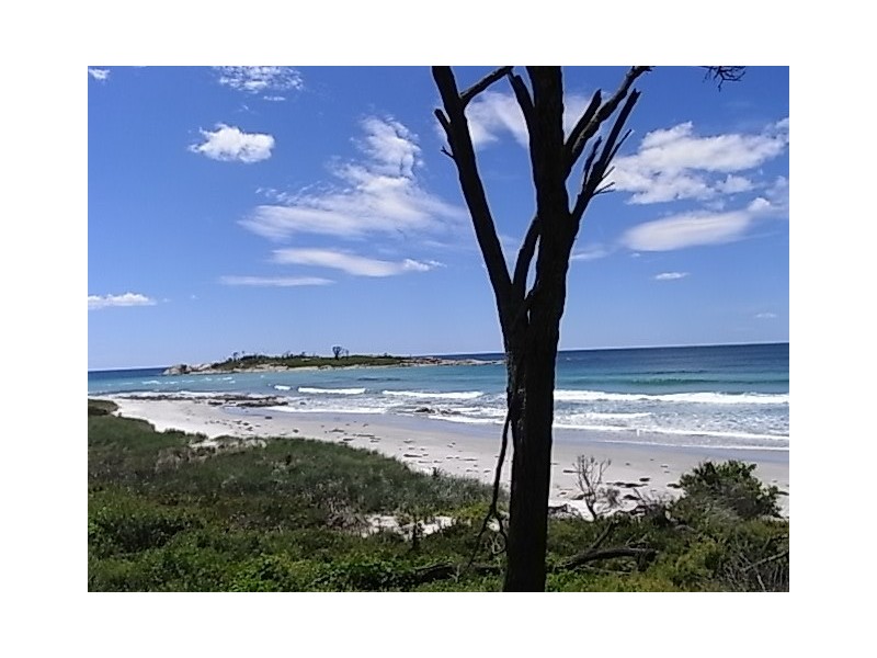 43 Tasman Highway, Bicheno TAS 7215