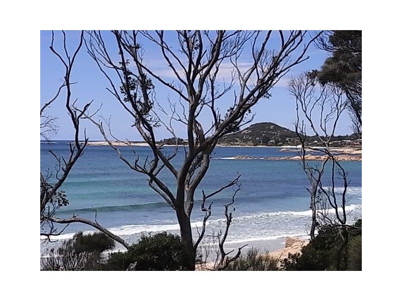 43 Tasman Highway, Bicheno TAS 7215
