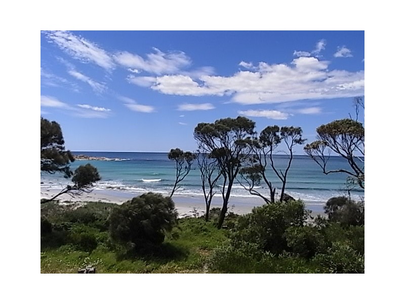 43 Tasman Highway, Bicheno TAS 7215