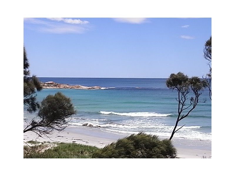 43 Tasman Highway, Bicheno TAS 7215