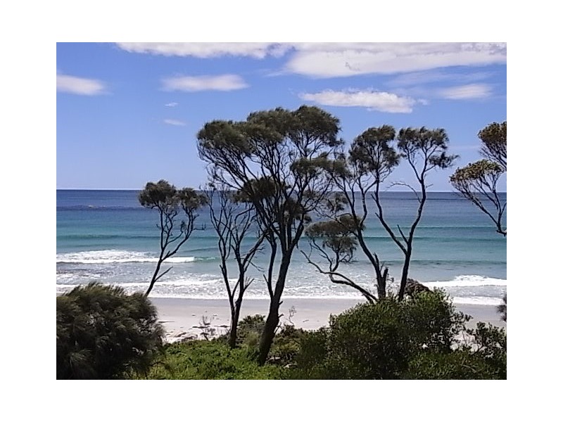 43 Tasman Highway, Bicheno TAS 7215