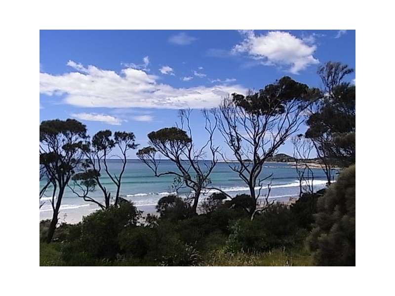 43 Tasman Highway, Bicheno TAS 7215