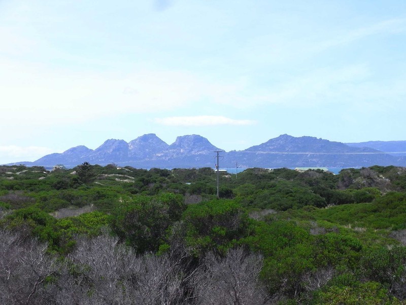 907 Dolphin Sands Rd, Swansea TAS 7190