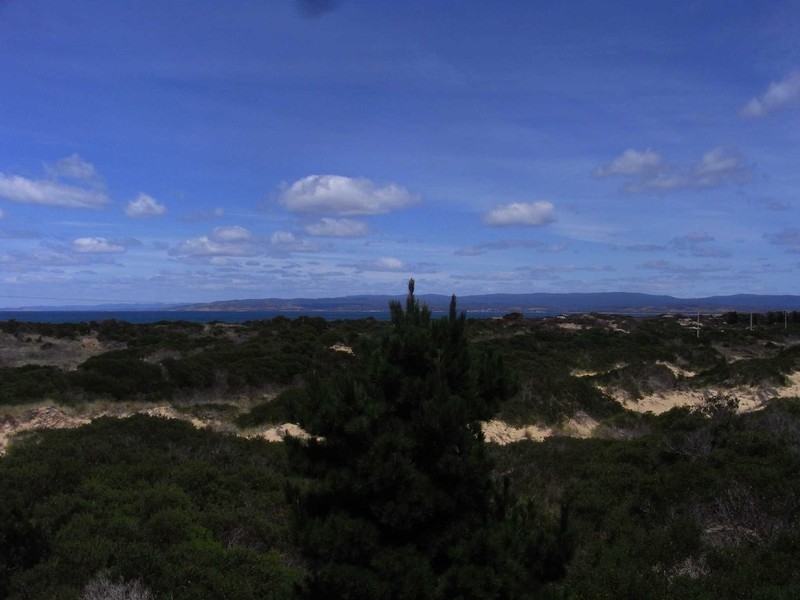 907 Dolphin Sands Rd, Swansea TAS 7190