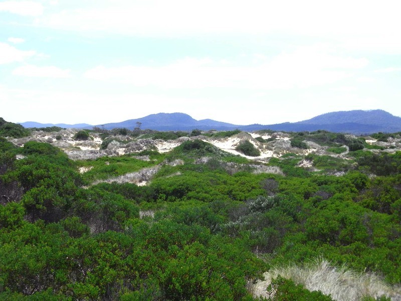 907 Dolphin Sands Rd, Swansea TAS 7190